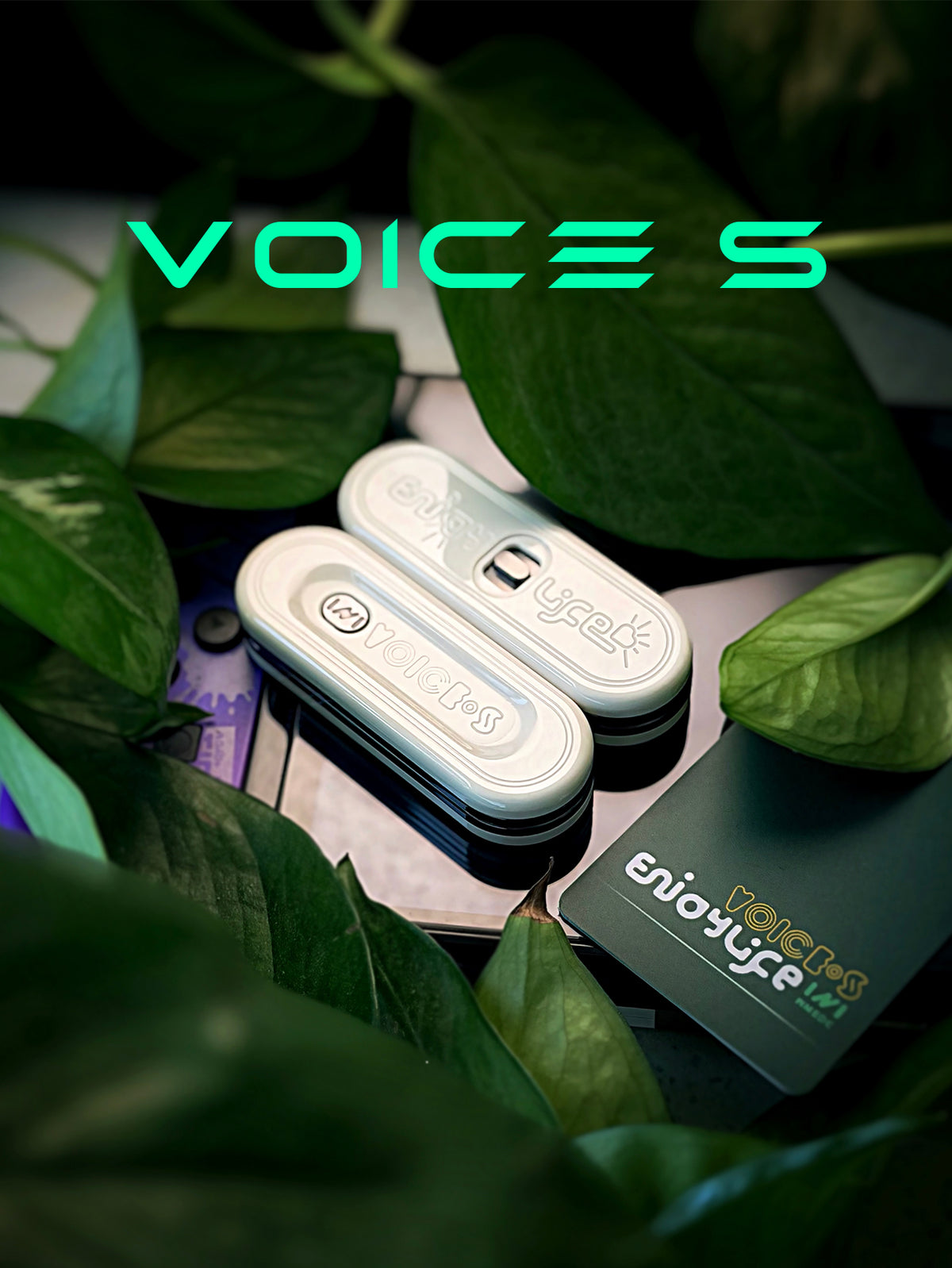 Voice S